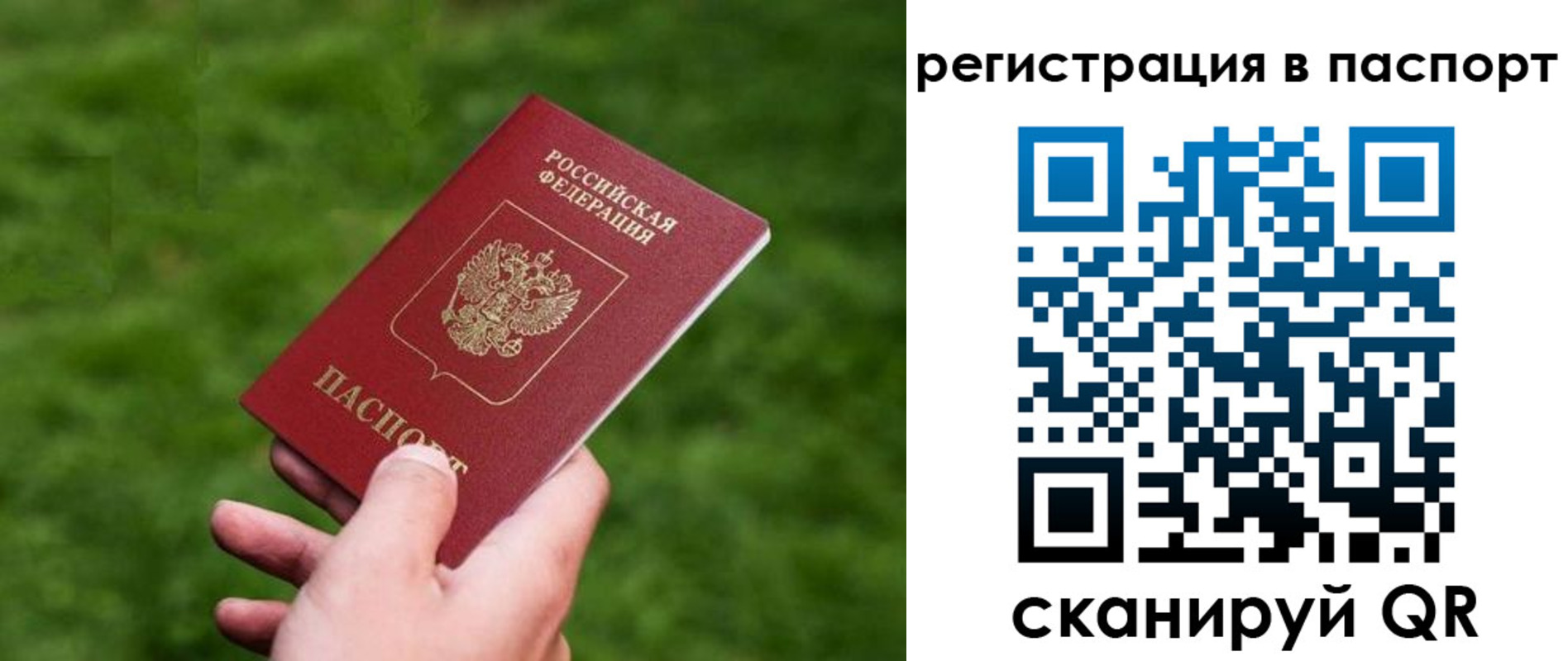 пропишу в квартире в Светлограде